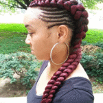 Dutch Braids with Plaited Sides